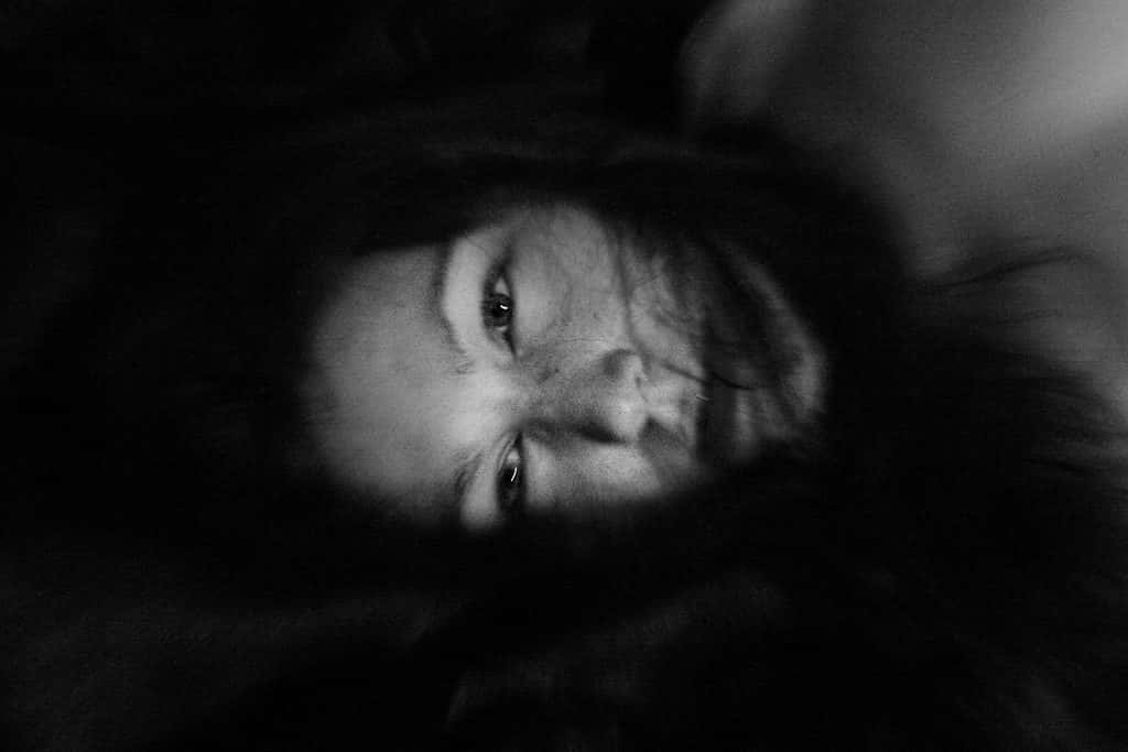 Nilla, portrait by Johnny Gustavsson