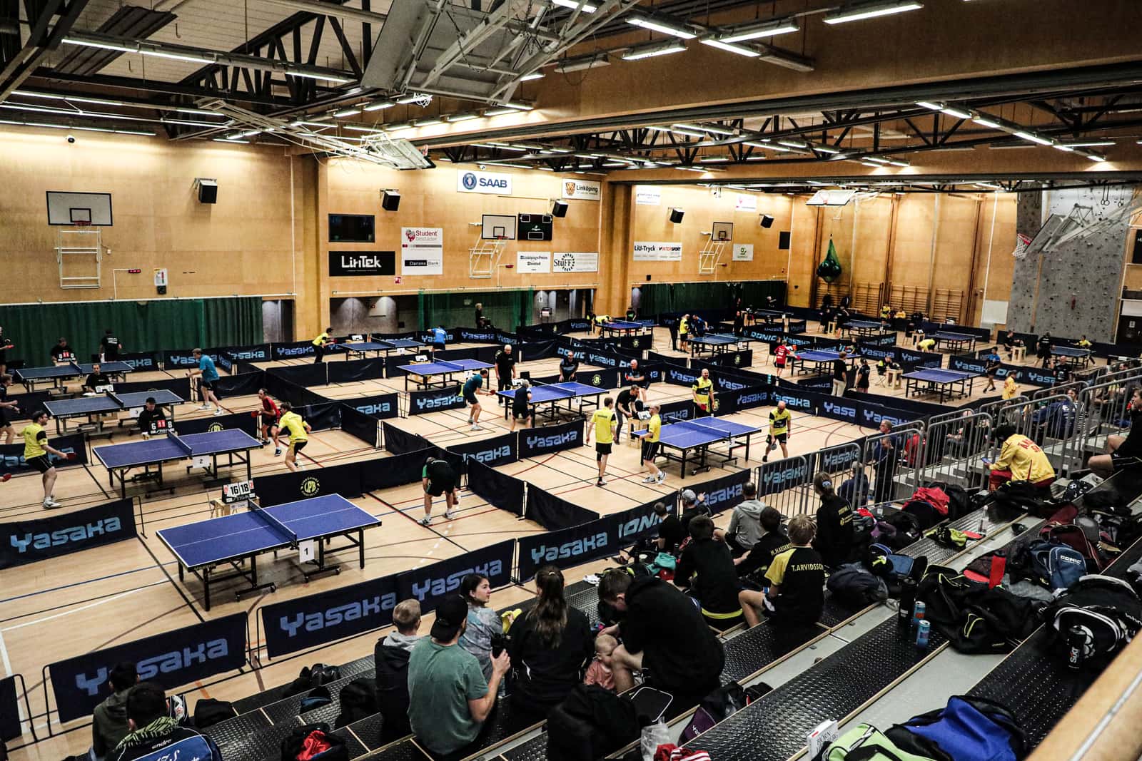 Table tennis — how much fun is that?