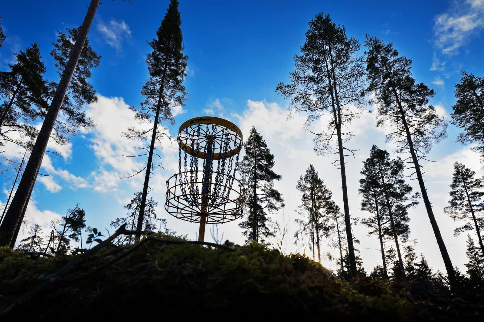 New disc golf course in Linghem