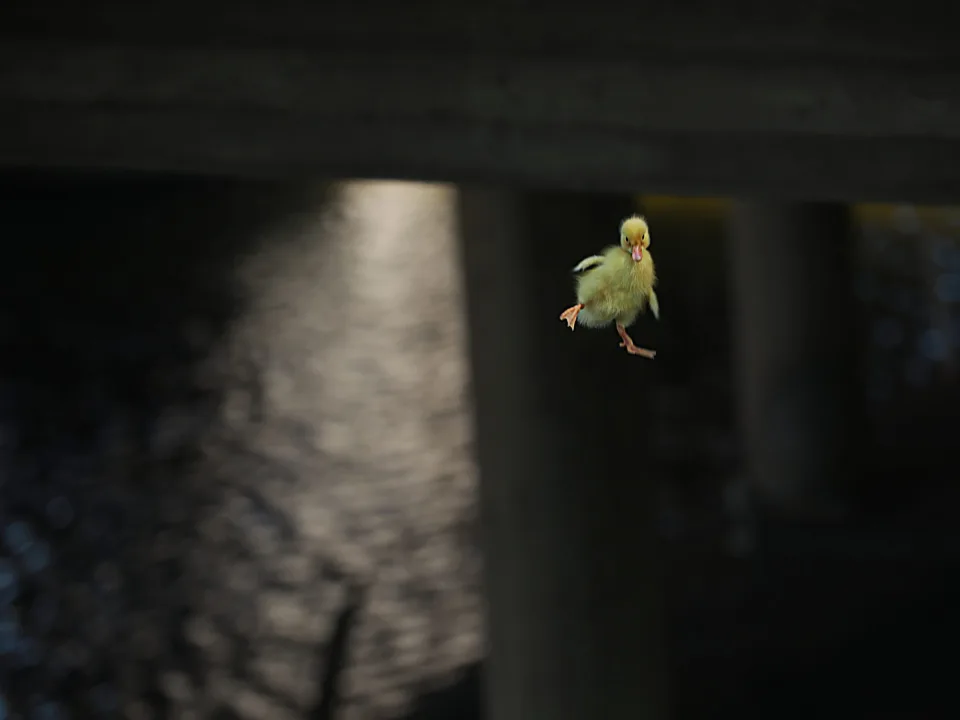 An And Never Walks Alone