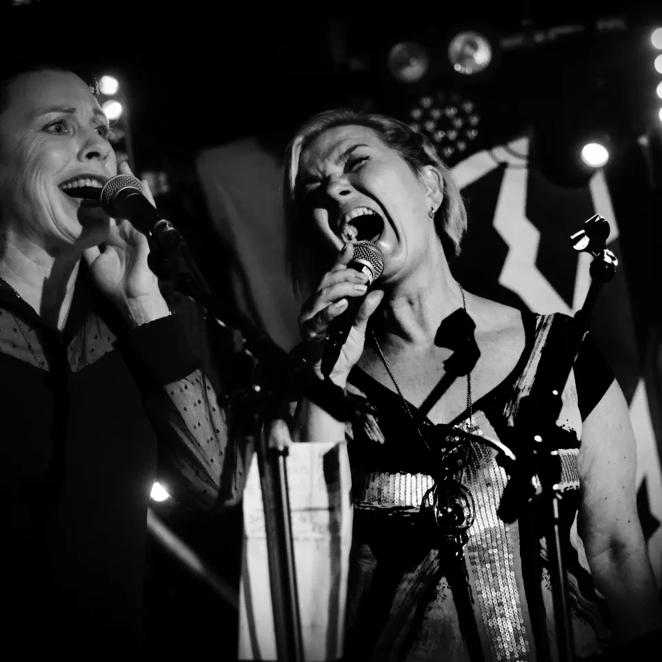 Punk är fantamig the shit