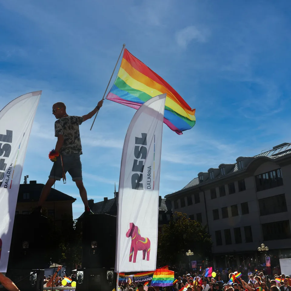 Motstånd mot Din Jävla Homofobi