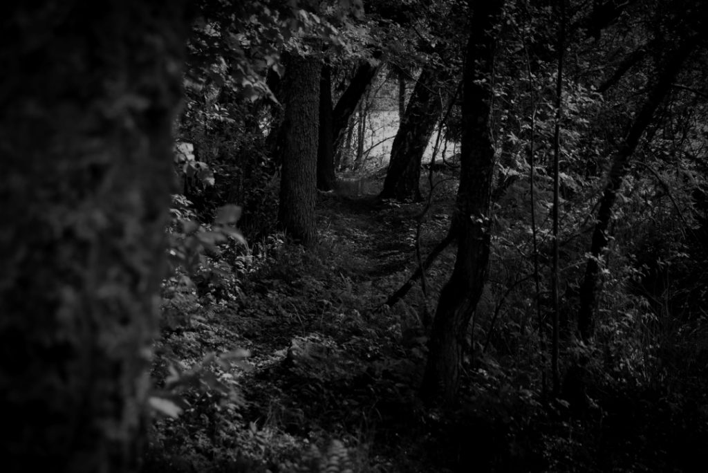 The Dragon's Path on Holmen